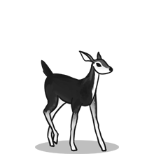 软件市场安全的{固定网站名称23}